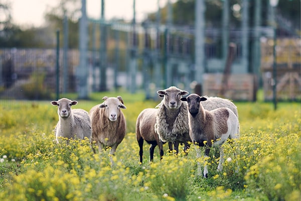 600x400_nachhaltigkeit